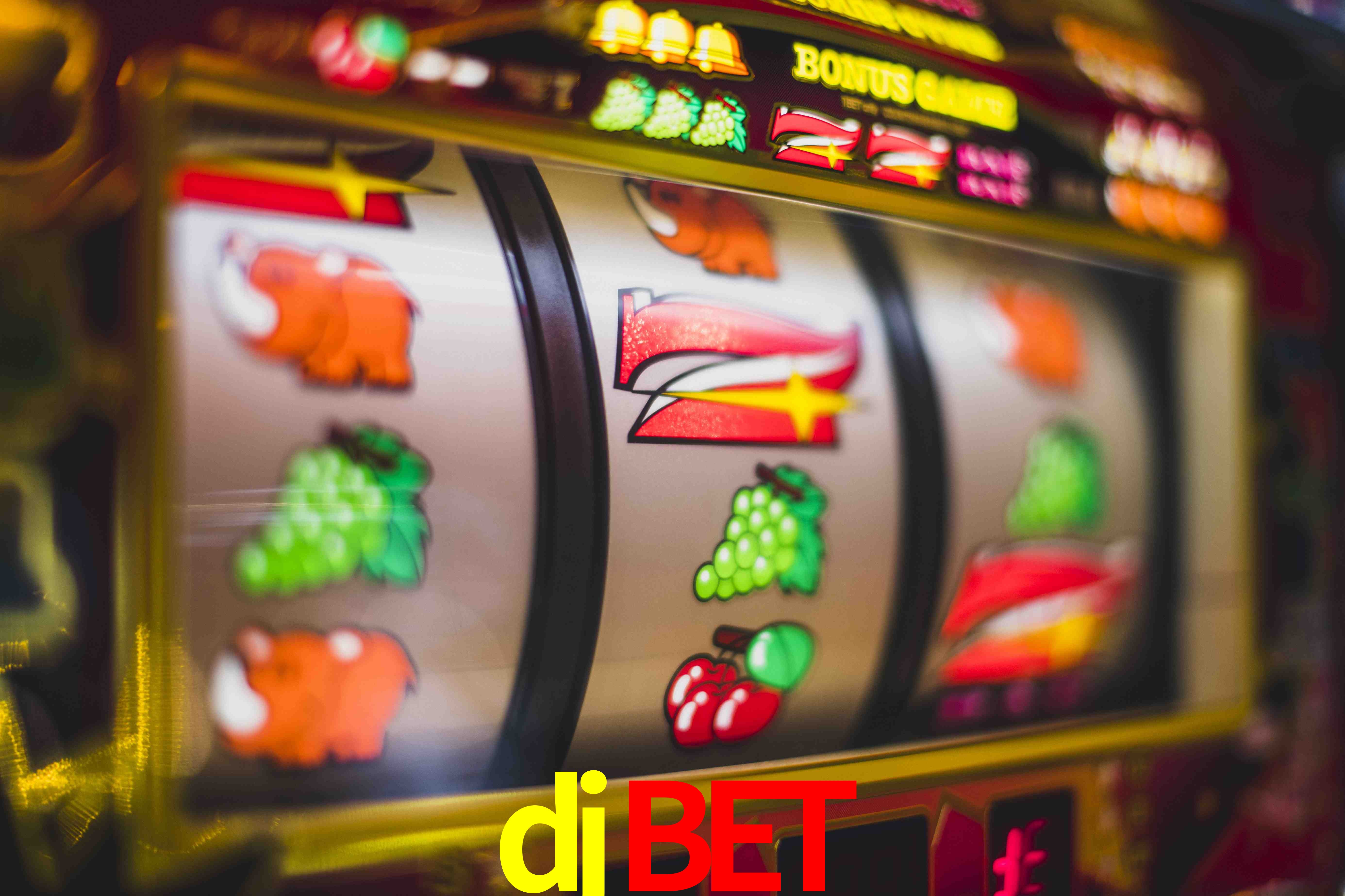 Sports Statistics djbet